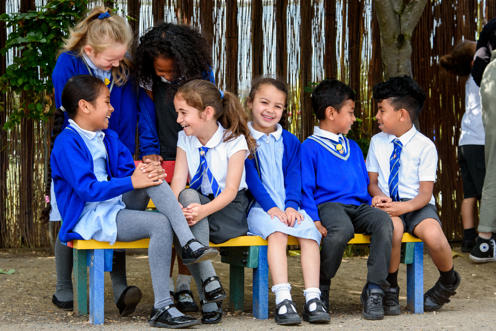 St Thomas More Catholic Primary School Home